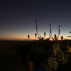 COPY - Madhatter / Alice in Wonderland high quali…